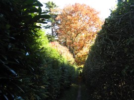 Footpath from Weydown Road